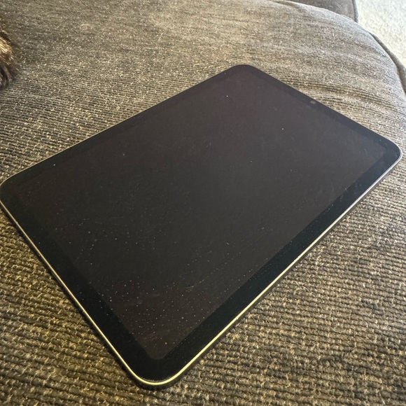 Apple iPad Mini with Black and Gray Display - Picture 11 of 15